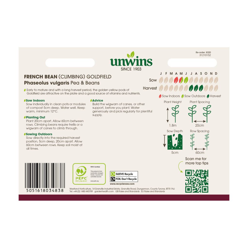 Unwins Climbing French Bean Goldfield Seeds 5051618034838 2